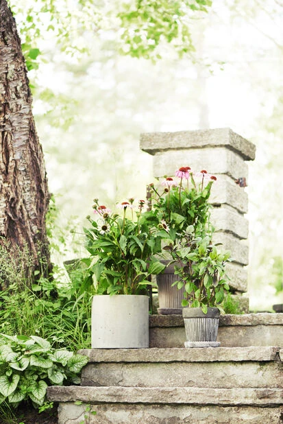 Potte Kelly Med Fat - Ø23 Cm, Grå - Bilde 2