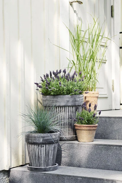 Potte Kelly Med Fat - Ø30 Cm, Grå - Bilde 4