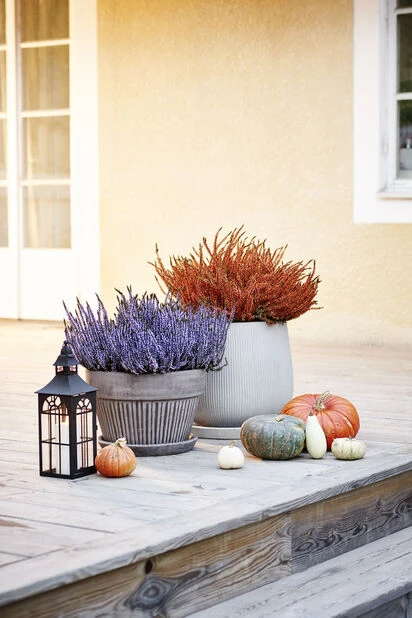 Planteskål Kelly Med Fat - Ø38 Cm, Grå - Bilde 5