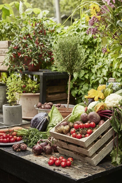 Potte Roy - Ø15 Cm, Grå - Bilde 3