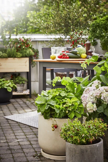 Potte Nova - Ø46 Cm, Beige - Bilde 3