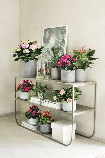 Potte Vincent - Ø17 Cm, Brun - Bilde 2