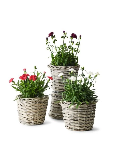 Kurv Edith - Ø18 Cm, Grå - Bilde 2