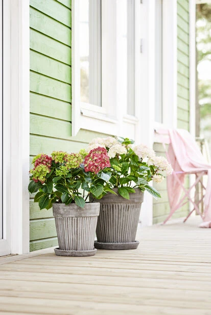 Potte Kelly Med Fat - Ø23 Cm, Grå - Bilde 3