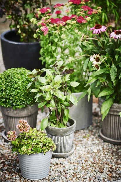 Potte Crewe - Ø17 Cm, Grå - Bilde 6