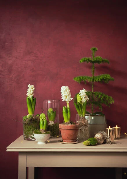 Potte Vanessa - Ø13 Cm, Transparent - Bilde 3