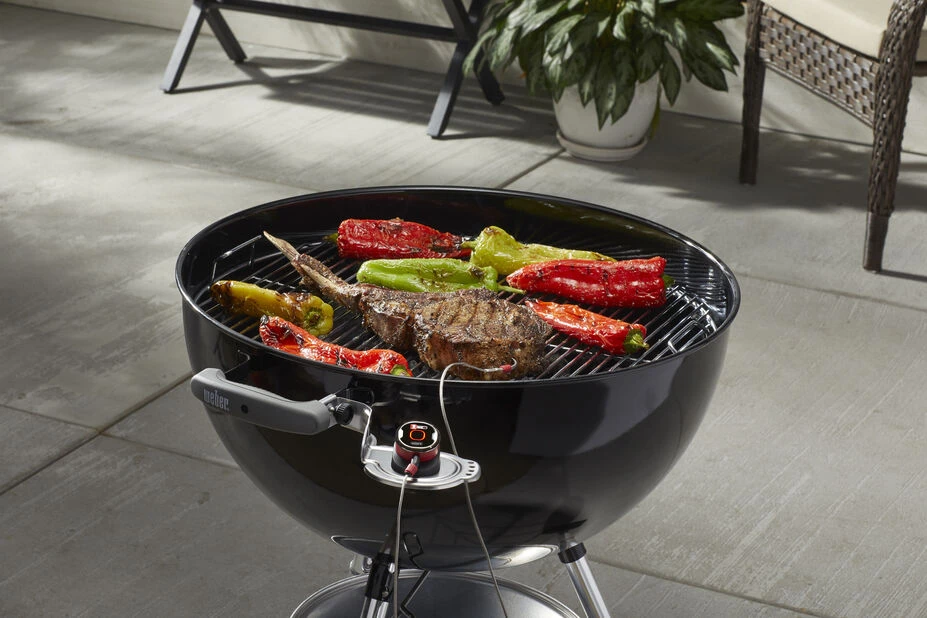 Holder Weber IGrill - Svart - Bilde 2