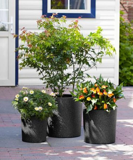 Potte Iqbana - Ø49 Cm, Svart - Bilde 4