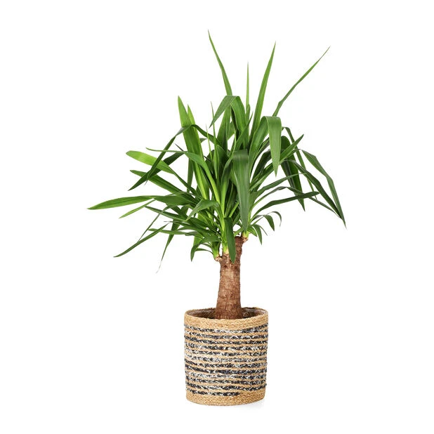 Kurv Denim - Ø25 Cm, Blå - Bilde 2