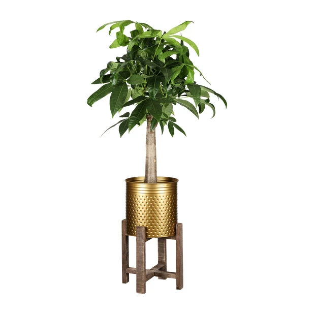 Potte Ellie - Ø29 Cm, Gull - Bilde 3