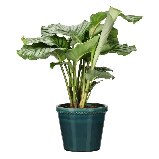 Potte Elliot - Ø21 Cm, Blå - Bilde 2