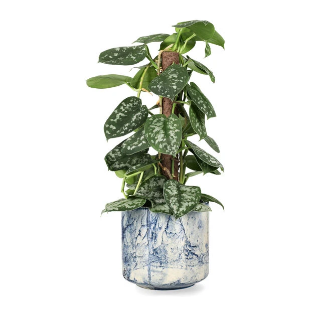 Potte Kara - Ø17 Cm, Blå - Bilde 2