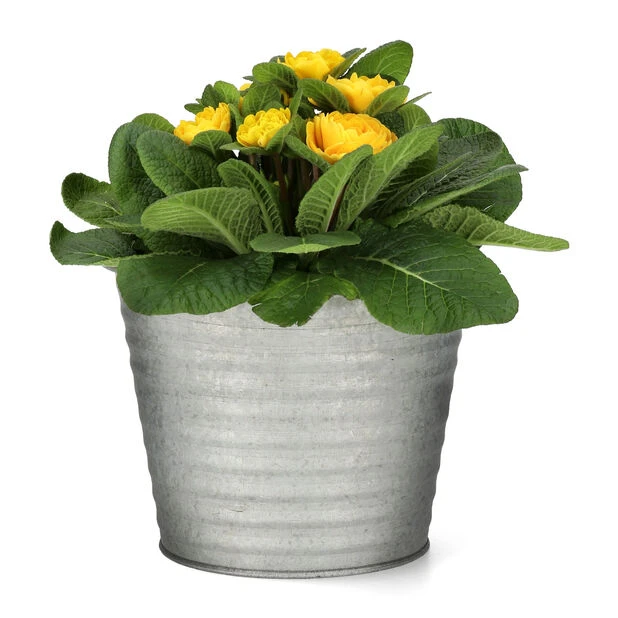 Potte Crewe - Ø17 Cm, Grå - Bilde 2