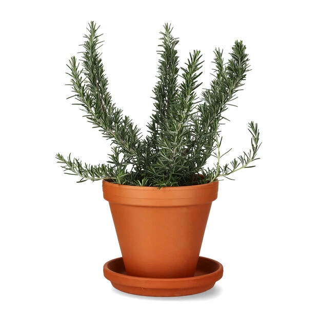 Fat Leire - Ø18 Cm, Terrakotta - Bilde 2