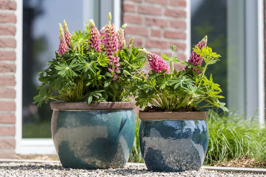 Potte Hayden - Ø36 Cm, Grønn - Bilde 2