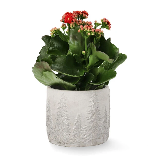 Potte Maella - Ø13 Cm, Grå - Bilde 2