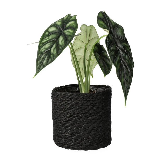 Potte Naledi - Ø11,5 Cm, Svart - Bilde 2