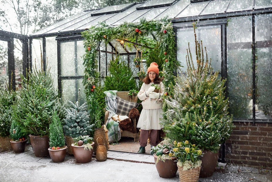 Lykt Vera - Høyde 17 Cm, Tre - Bilde 2