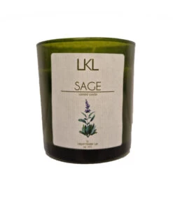 Duftlys Sage - Høyde 8 Cm, Grønn