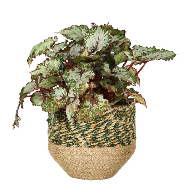 Kurv Tees - Ø15 Cm, Flerfarget - Bilde 2